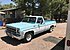 1978 GMC C/K 1500 for sale 101001678